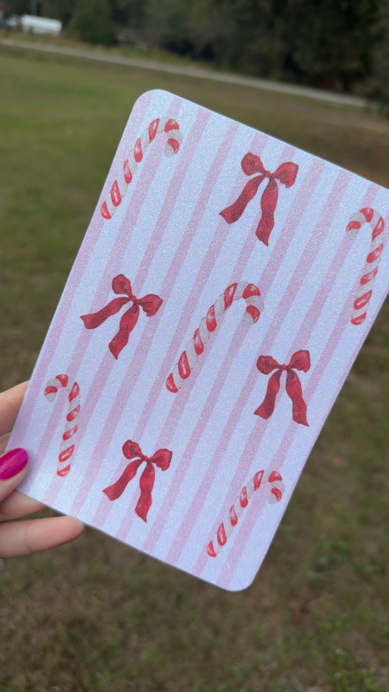 Pink striped Candy Cane/Bow Kindle Case Insert / booktok/ bookish merch/ clear case insert/ Christmas