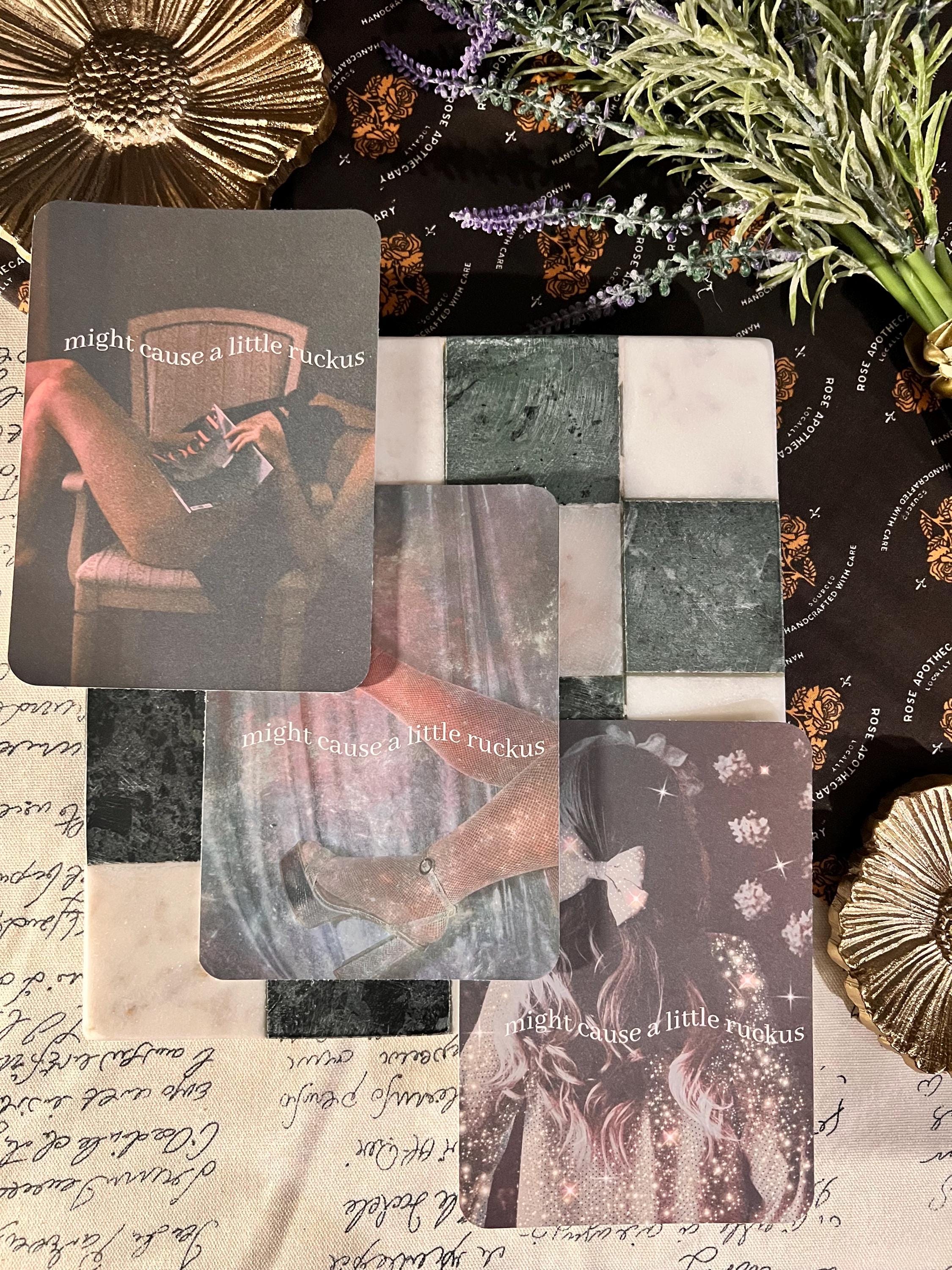 Might Cause A Little Ruckus Kindle Case Insert / E-reader Case Insert/ booktok/ bookish merch/ clear case insert